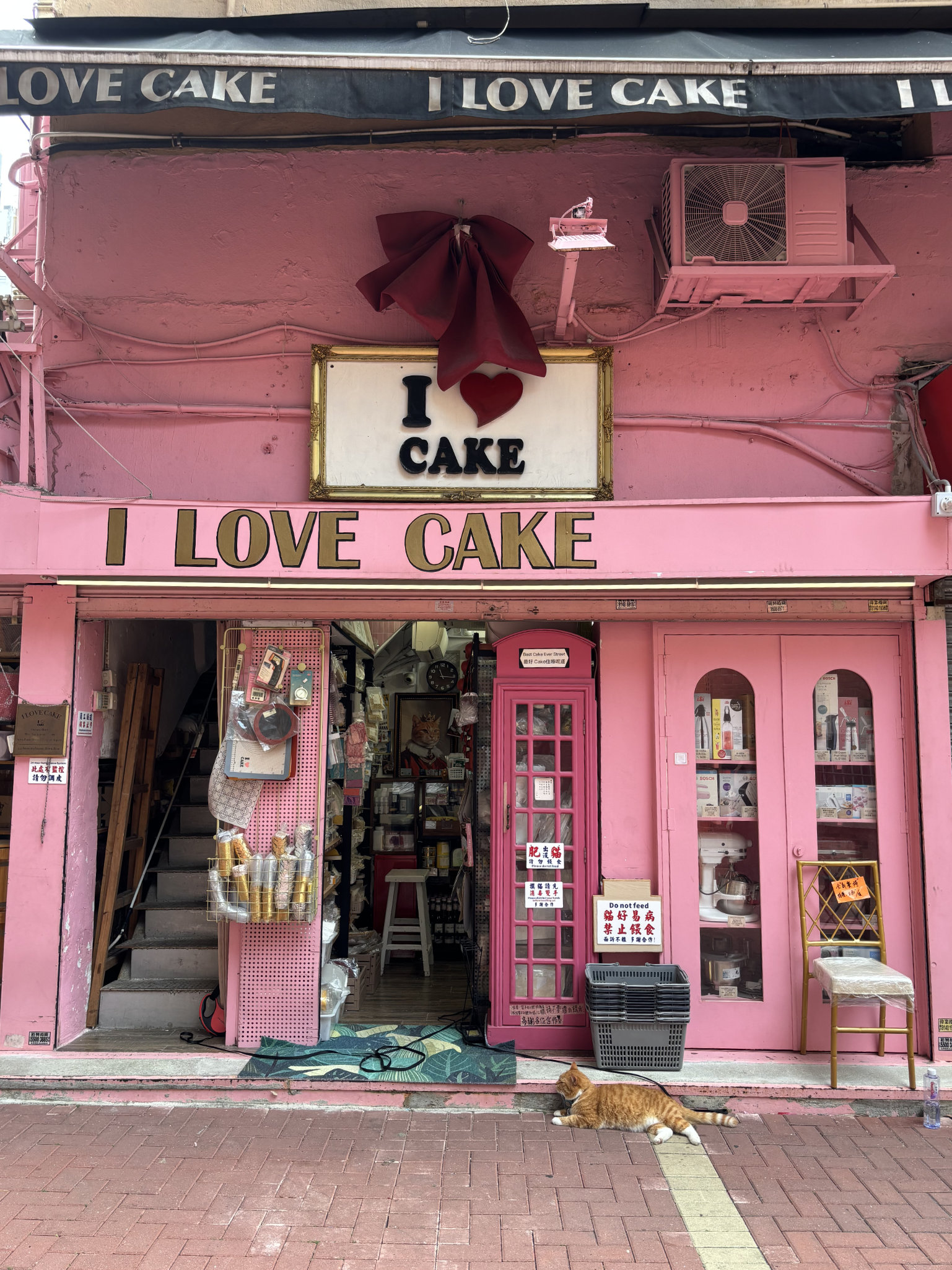 I love cake