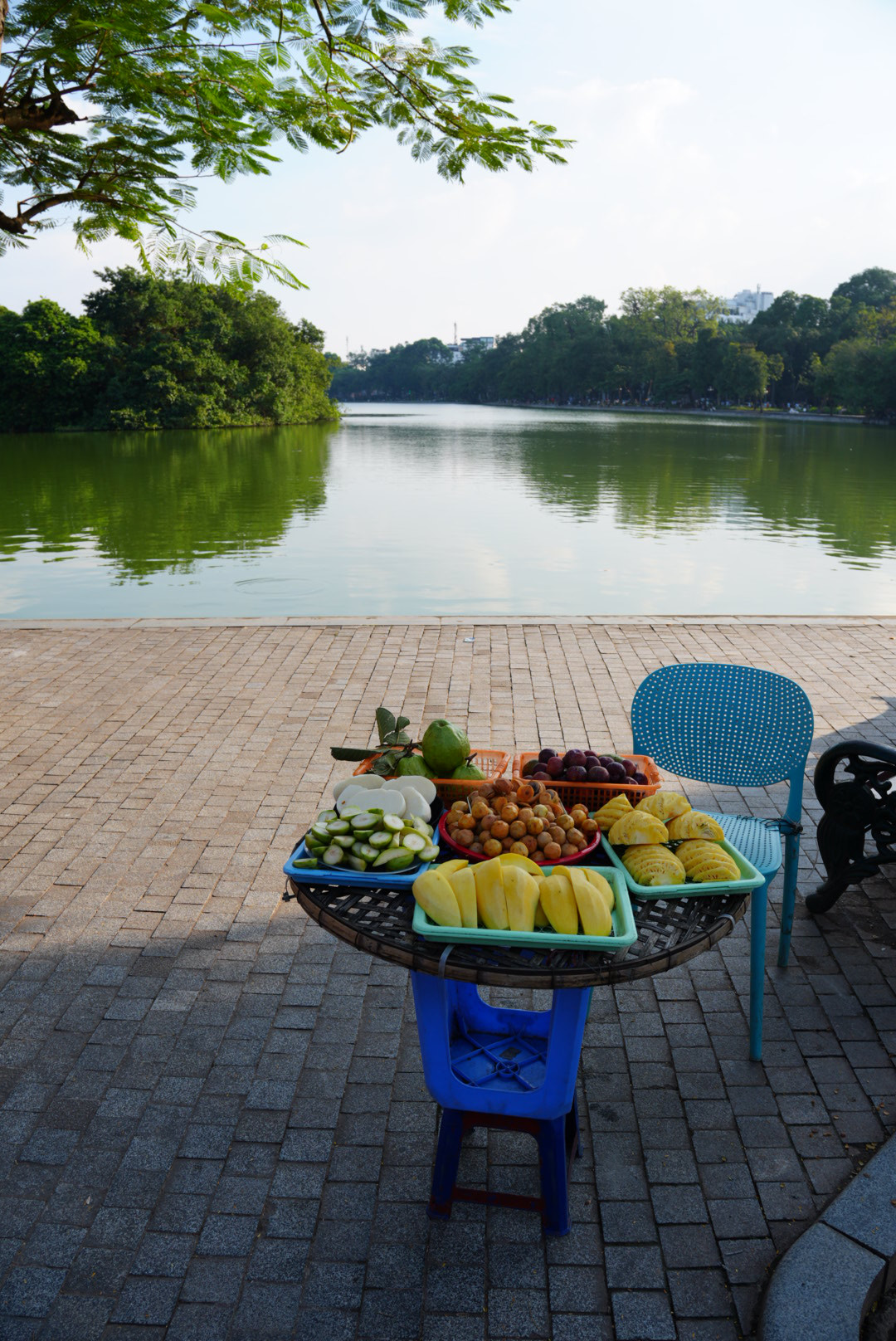 Fruit vendor, Hanoi